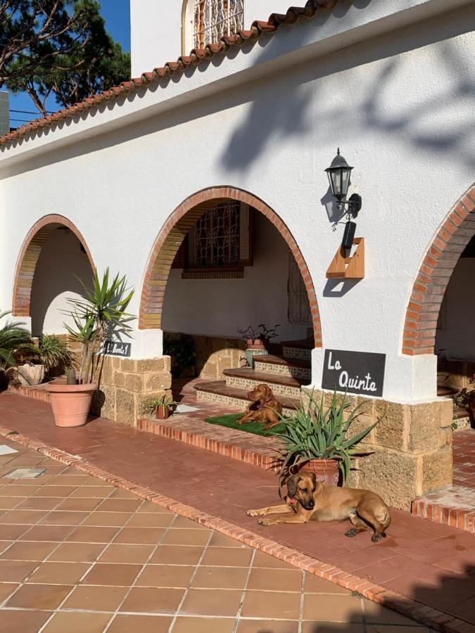La Quinta - La Barrosa Βίλα Chiclana de la Frontera Εξωτερικό φωτογραφία